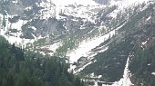 03 il verde ormai sopra la neve